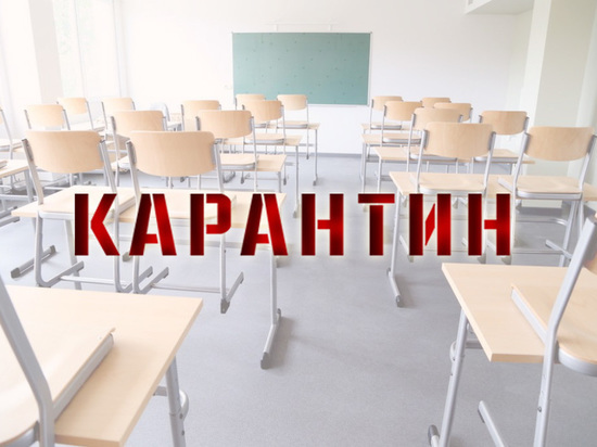 Все школы Ульяновской области закрыли на карантин