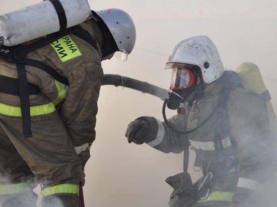 В Калининграде пять раз тушили мусор, в Черняховске сгорела иномарка