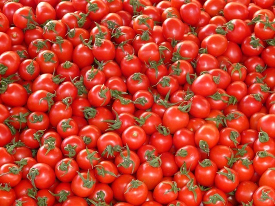 В Псковской области помидоры подорожали на 14 рублей