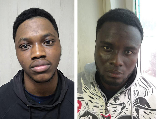 В Ленобласти поймали трех нигерийцев-нелегалов