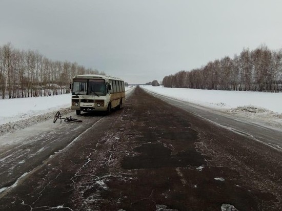 В Тамбовской области автобус догнал велосипедиста