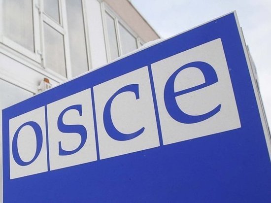 Россия направила в ОБСЕ кандидатуры наблюдателей на выборы главы Украины