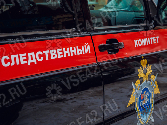 Кузбасский СК закрыл дело о найденной в холодильнике погибшей девочке