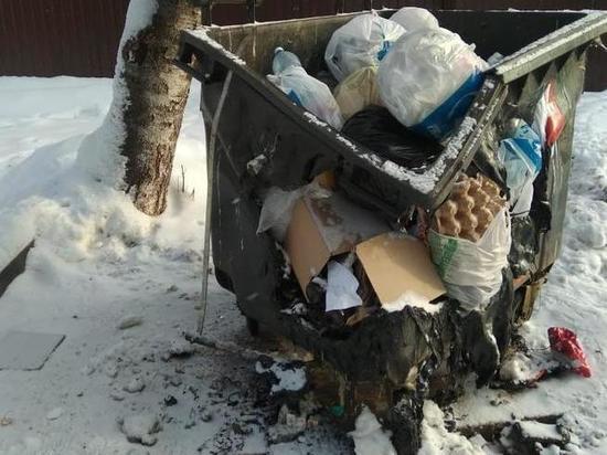 Вандалы мешают вывозить мусор из кировских дворов