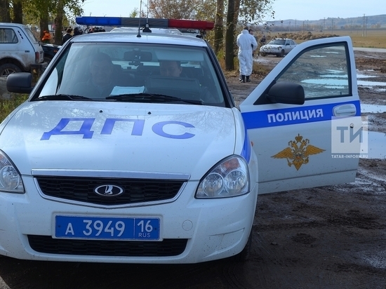 В Татарстане трое хулиганов пытались помешать работе сотрудника ГИБДД