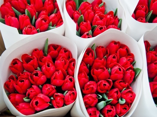 Волгоградцы дарят на 14 февраля своим любимым «розовых» мишек