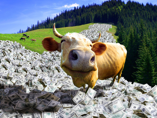 Продажа коровы через Интернет обернулась для калужанки потерей сбережений