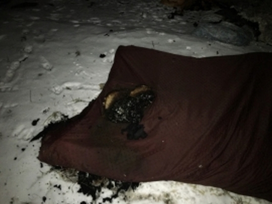 В Брянской области спасли человека из горящей постели