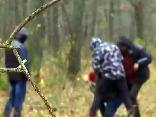 Трое жителей Чувашии вывезли парня в лес, вымогая 300000 рублей
