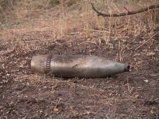 Под Зеленоградском нашли шесть боеприпасов