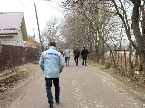 ОНФ не позволит вырубить километровую лесополосу в селе Ивановском