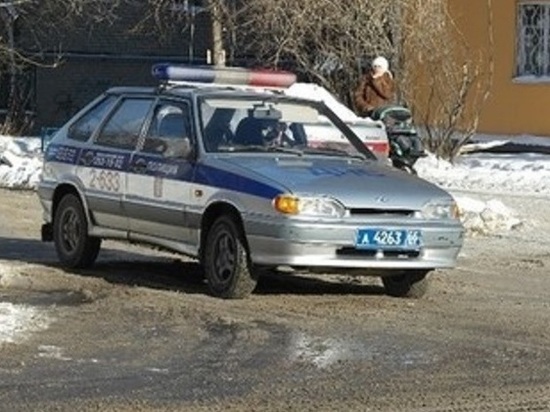 В Екатеринбурге собаки напали на семилетнюю девочку