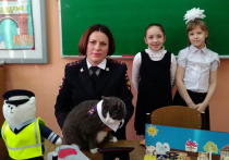 Кот помогает стражем порядка проводить лекции для школьников