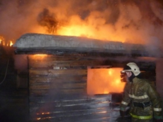 В пожаре в Смоленском районе сгорели 18 домашних животных и 45 птиц