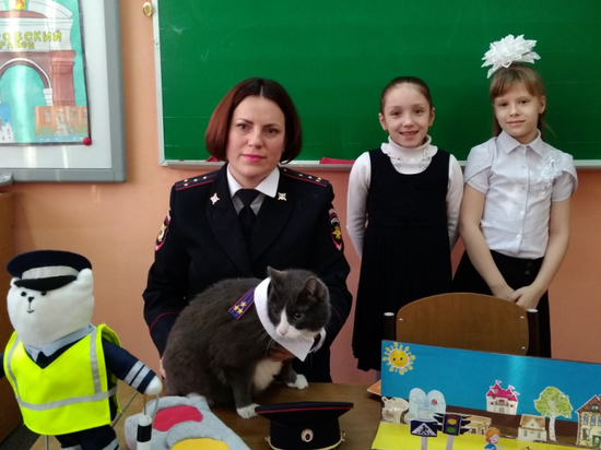 На красноярских полицейских работает кот по кличке Матроскин