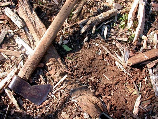В Алтайском крае женщина убила топором вахтовика