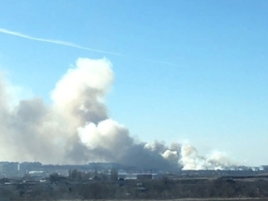 В районе старого аэропорта в Ростове случился крупный ландшафтный пожар