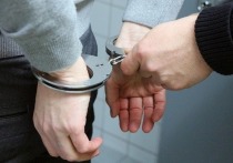 В Москве поймали 17-летнего студента, совершившего серию нападений на мигрантов из Киргизии, сообщает Mash