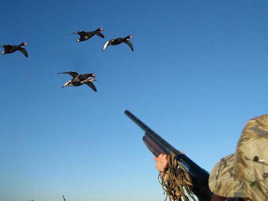 В Калмыкии охота на водоплавающих птиц под запретом