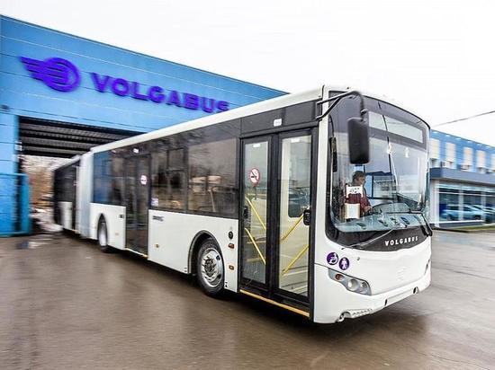 Раскрыты преимущества электробусов, которые появятся в Калининграде