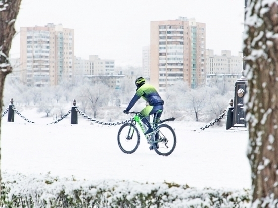 Морозы до -16°С и метели придут в Волгоград и область 20 февраля