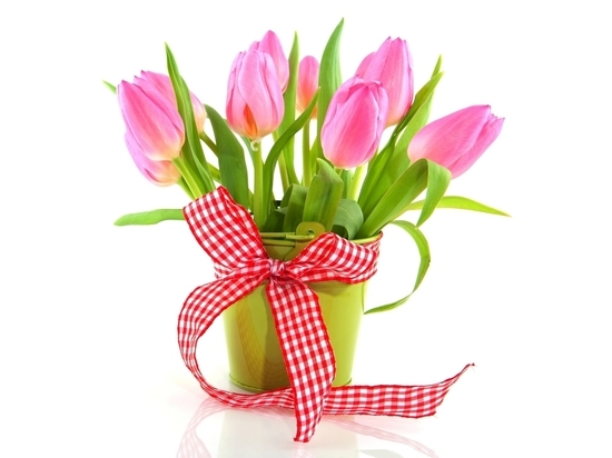 На 8 марта ярославнам можно будет дарить только лицензионные цветы