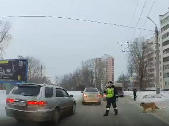 Челябинский полицейский стал символом российской доброты