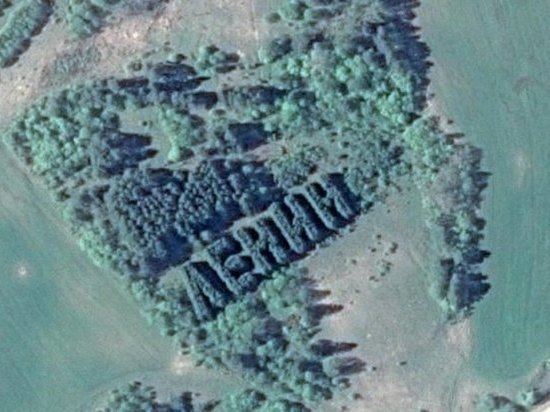Геоглиф «Ленин» получил статус выявленной достопримечательности в Вологодской области