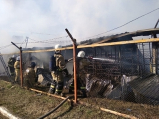 Пожар в Нальчике тушили полсотни спасателей