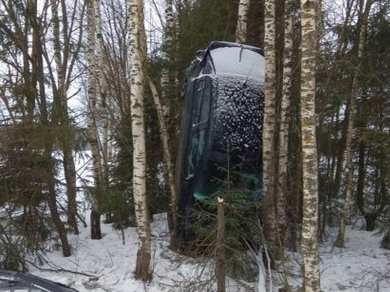 В Тверской области деревья остановили неуправляемую иномарку