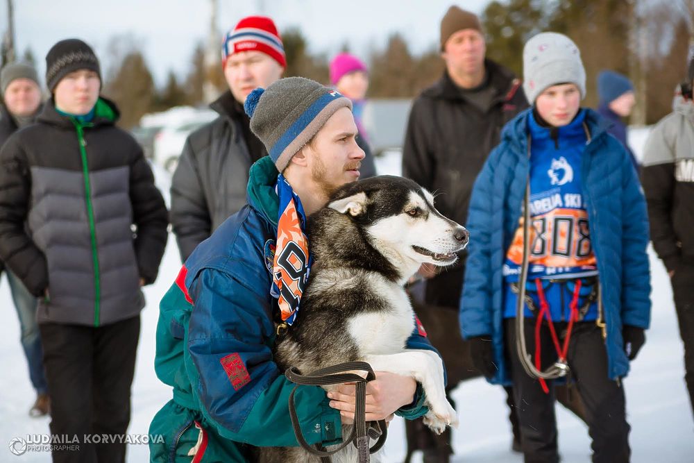 Кто хороший мальчик: выбрали самые забавные портреты собак-участников лыжных гонок в Петрозаводске