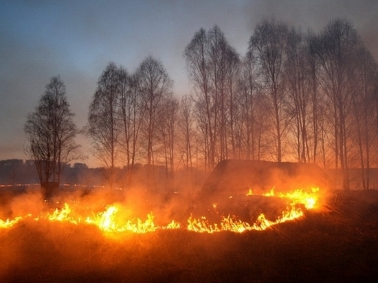 Хабаровский край спасается от природных пожаров