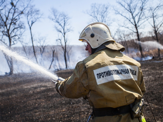 Снег помог потушить природные пожары в Хабаровском крае