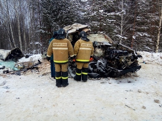 В Рязанской области за выходные произошло 119 аварий
