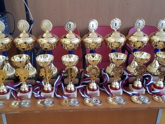 Псковичи завоевали наибольшее количество наград на турнире по боксу в Локне
