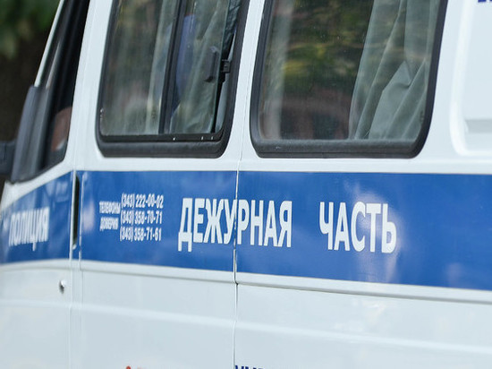 Начата проверка из-за драки сотрудников ГИБДД и пьяных мужчин в Новоуральске