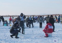 В Сахалинской области 23 февраля прошли областные соревнования рыболовов-любителей «Сахалинский лед»