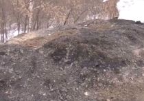 Жители междуреченского Ольжераса рассказали "Июню" об аномалии: участок почвы сильно нагрелся, отчего снег на нем тает