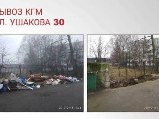 В Балтийске из-за обилия мусора городской субботник проведут на месяц раньше