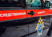Около 5:00 в среду, 27 февраля, после тушения пожара в трехквартирном деревянном доме в Мариинске были обнаружены тела шести человек, в том числе четырехлетнего ребенка