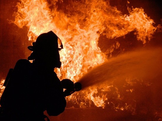 На пожаре в Воронежской области погибла семья из трех человек