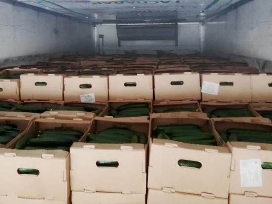 В Псковской области запретили к ввозу 10 тонн белорусских огурцов