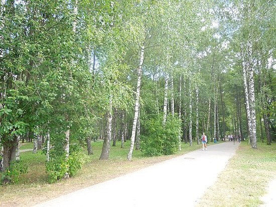 Парк имени Пушкина передадут в муниципальную собственность