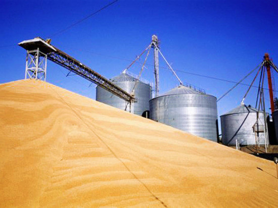На элеваторе в Ульяновской области похищено 8 тысяч тонн зерна