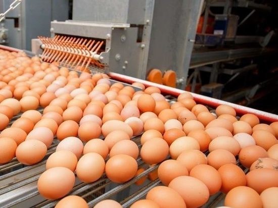 Волгоградстат: яйца подешевели на 4,2% в Волгоградской области