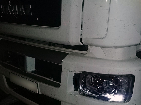 Ночью в Рязанской области грузовик насмерть сбил пешехода