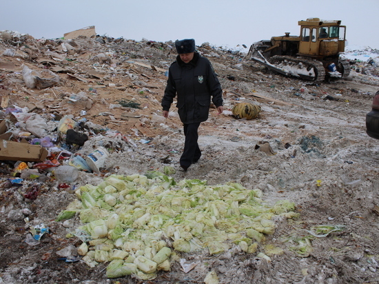 В Чебоксарах уничтожили 85 кг подозрительной пекинской капусты