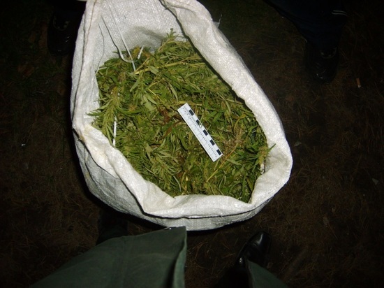 Всё для себя: в Рыбинске племянник спрятал у дяди килограмм марихуаны