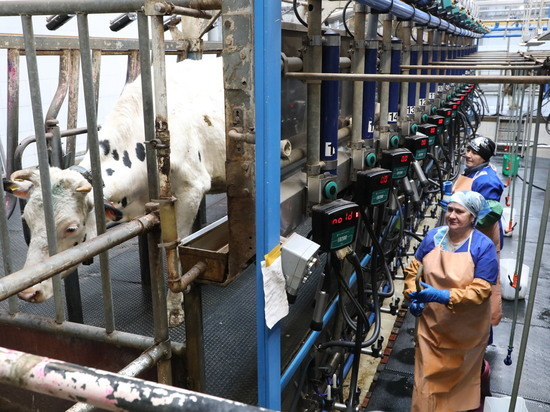 Поддержку животноводства в Нижегородской области увеличат на треть