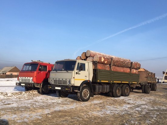 В Туве водители, перевозившие древесину без документов, были доставлены в полицию